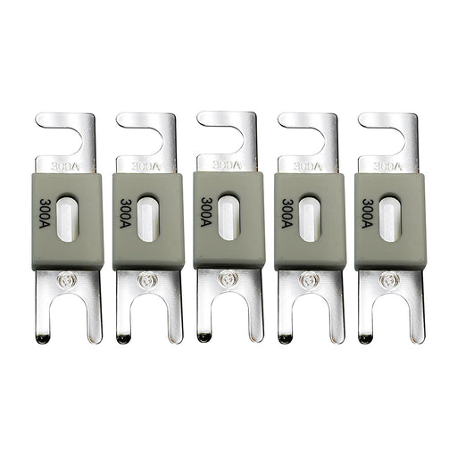 Victron ANLFuse 300A80V f48V Products Package of 5 CIP143300020