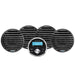 Aquatic AV Economy Gauge StereoSpeakers Kit  Black EG100