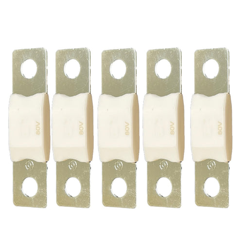 Victron MEGA Fuse 175A80V Package of 5 Pieces CIP138175020