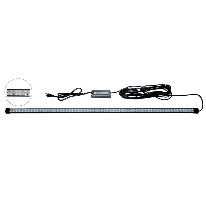 Hydro Glow 4 LED DockMaster 2000K Amber LED 120V DM260A