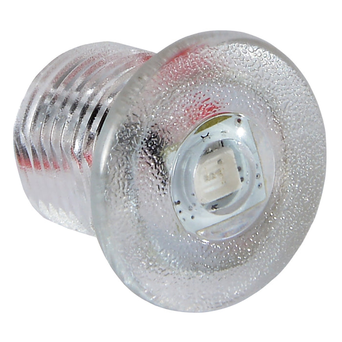 Lumitec Newt  Livewell  Courtesy Light  Blue Dimming 101085