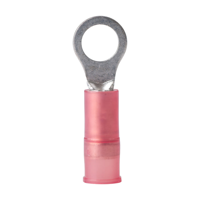 Ancor 2218 AWG  10 Nylon Ring Terminal  100Pack 220203