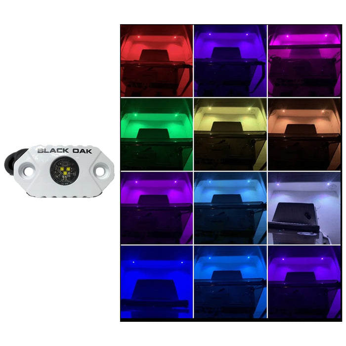 Black Oak Rock Accent Light  RGB  White Housing MALRGB
