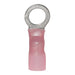 Ancor Heat Shrink Ring Terminal  8 38 25Pack 321625