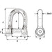 Wichard SelfLocking Allen Head Pin D Shackle  10mm Diameter  1332 1305W