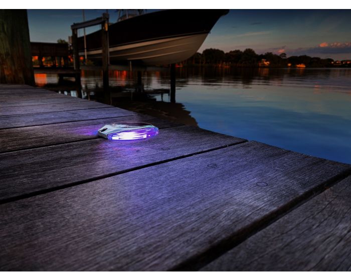 Lumitec Scallop Surface Mount Pathway Light - Spectrum RGBW/Warm White - Stainless Steel Housing [101672]