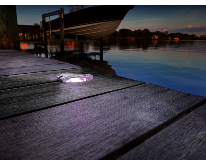 Lumitec Scallop Surface Mount Pathway Light - Spectrum RGBW/Warm White - Stainless Steel Housing [101672]