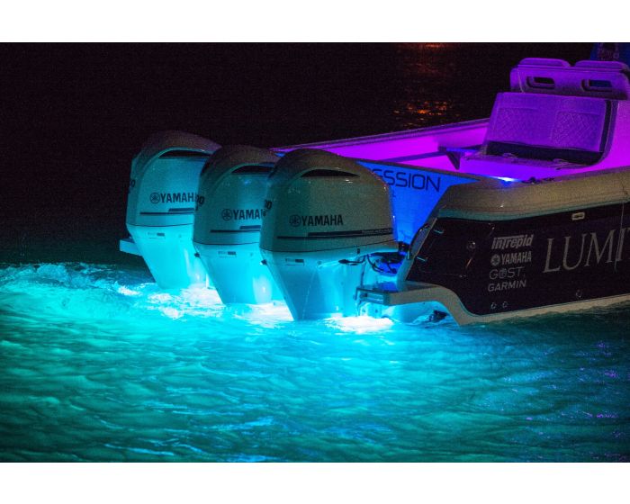 Lumitec SeaBlazeX2 LED Underwater Light - Dual Color - White/Blue [101516]