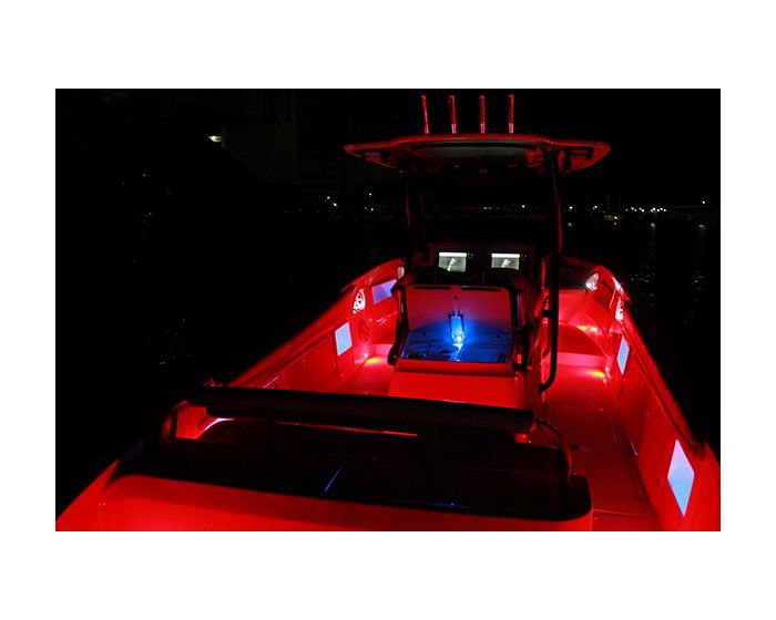 Lumitec Rail2 12" Light - White/Red Dimming [101082]